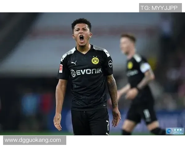 足球鲨翼：探索海洋与足球的奇妙结合与未来发展潜力